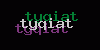 Visual Verification